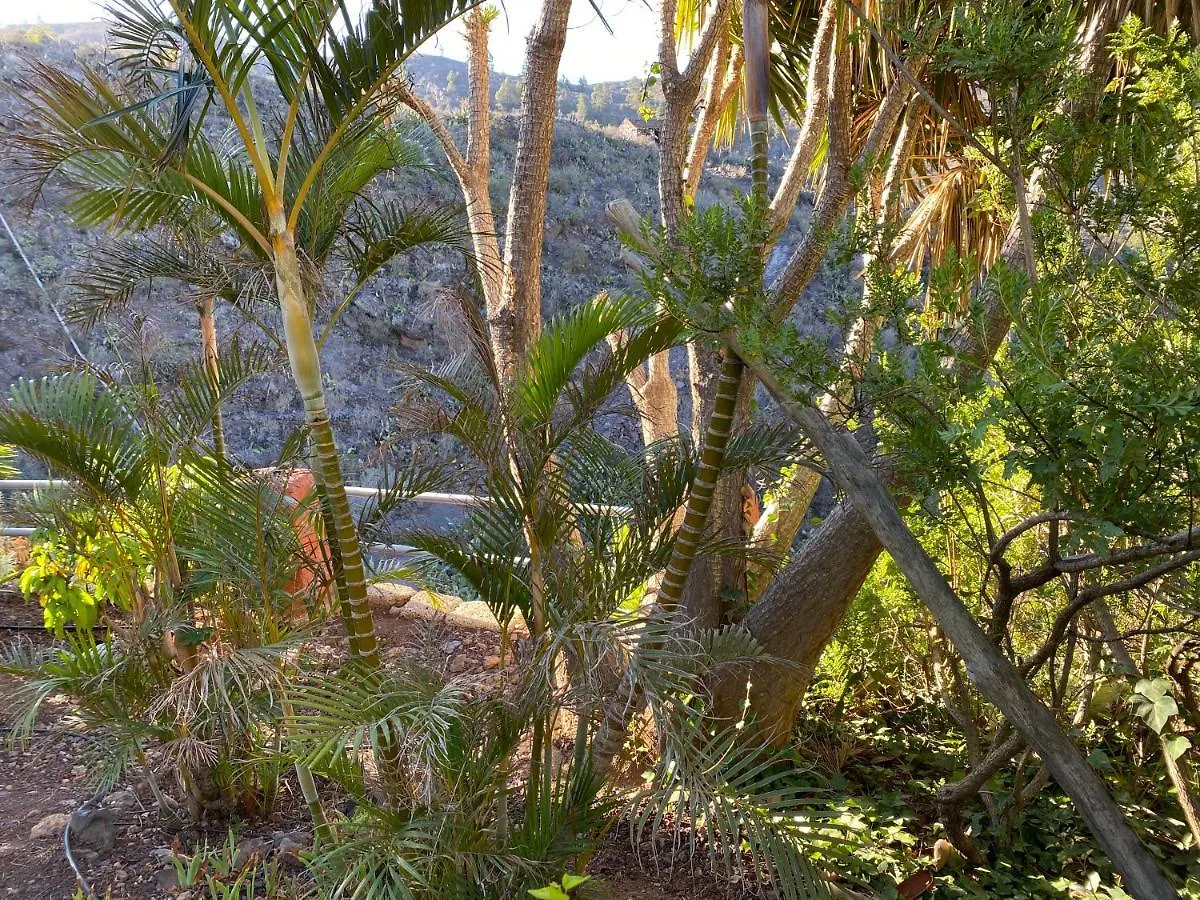 Casa Amarilla Villa Guia de Isora  0*, Guia de Isora (Tenerife)