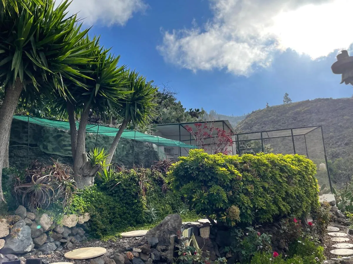 Holiday home Casa Amarilla Villa Guia de Isora  Spain