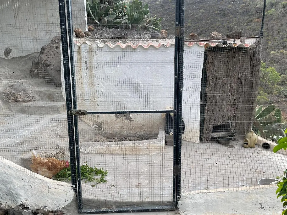 Casa Amarilla Villa Guia de Isora  0*, Guia de Isora (Tenerife)